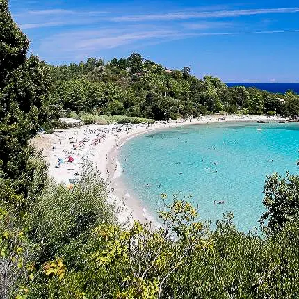 Canella bay